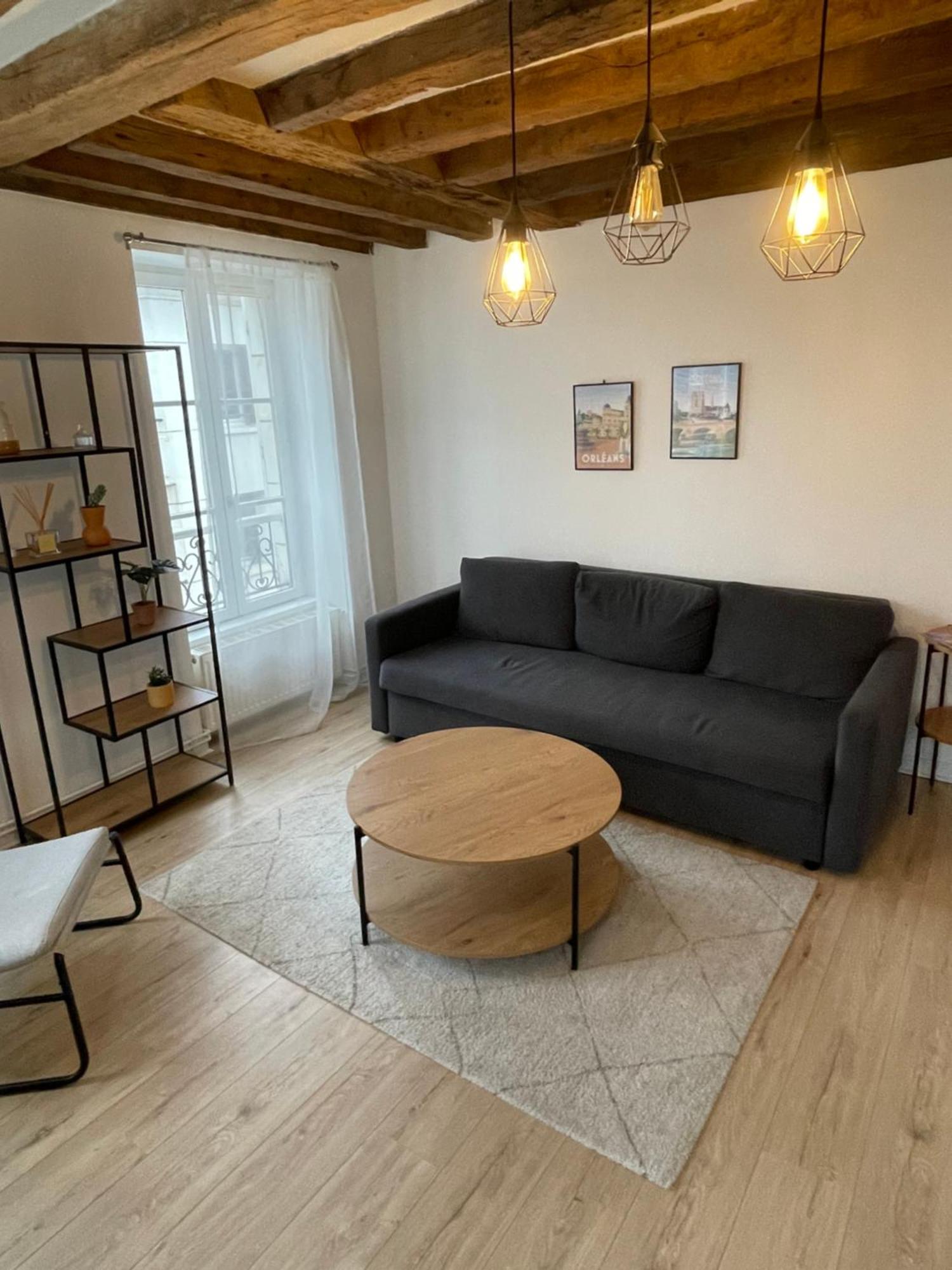 Charmant Appartement Orleans ! Extérieur photo
