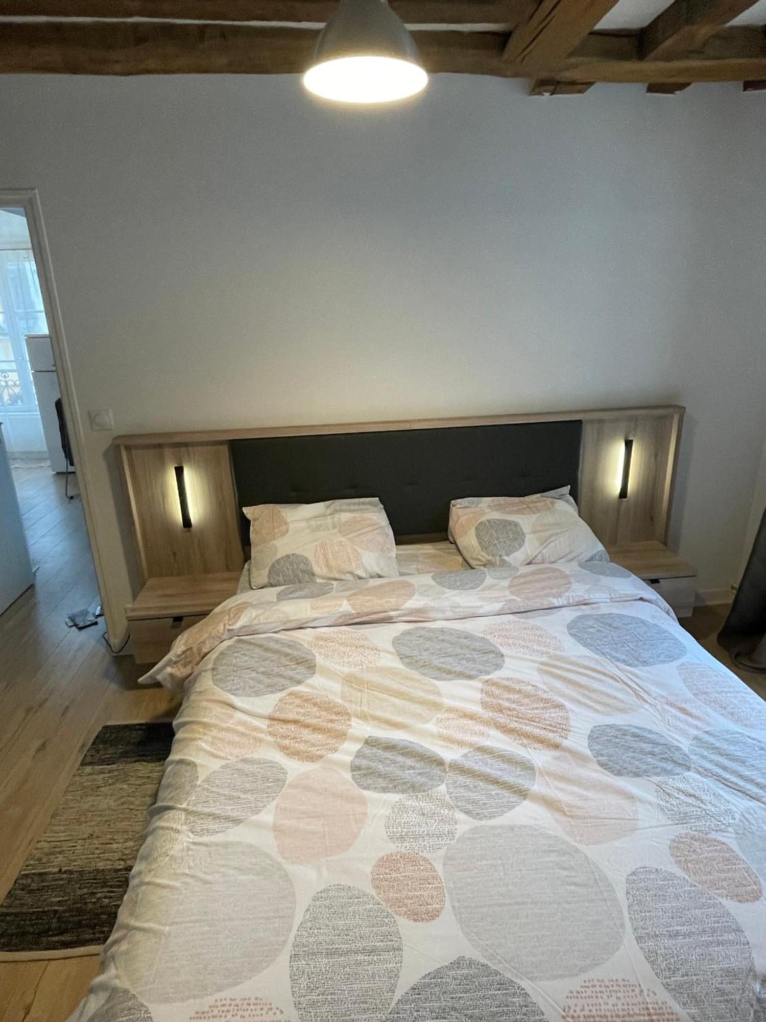 Charmant Appartement Orleans ! Extérieur photo